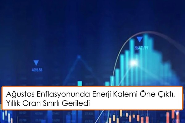 Ağustos Enflasyonunda Enerji Kalemi Ayın En Kritik Başlığı Oldu
