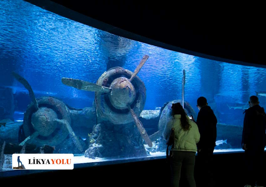 Acaba Antalya Aquarium’da Neler Var?