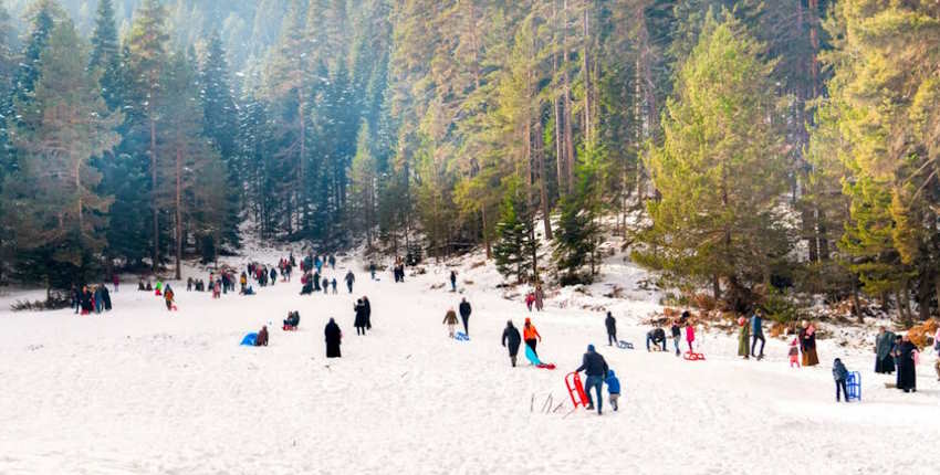 Ocak ayında Türkiye'de tatile nereye gidilir? Ilgaz Kayak Merkezi