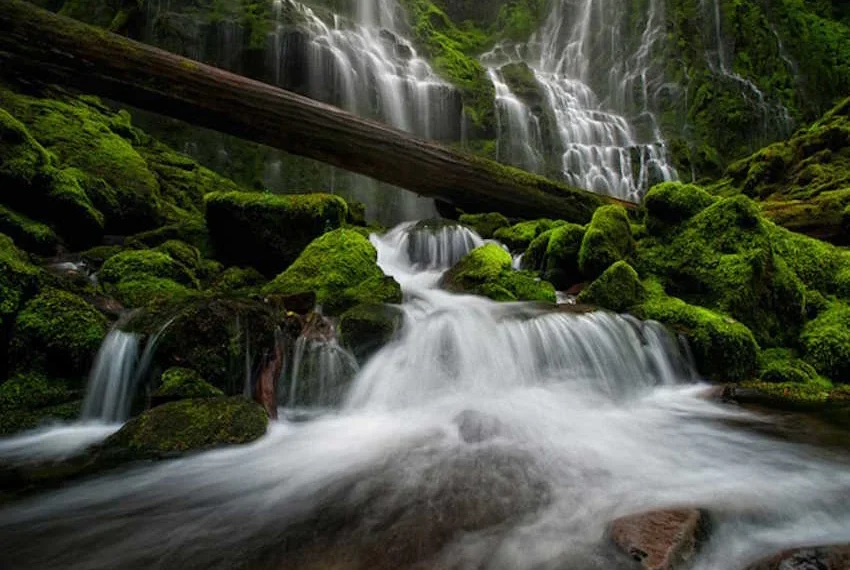Doğa Fotoğrafçılığı İçin En İyi Çekim Teknikleri ve Ekipman Önerileri