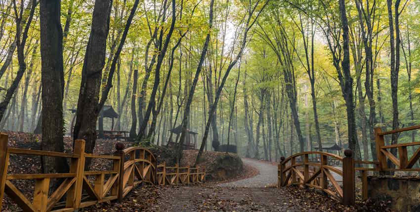 İstanbuldaki Doğal Güzellikler / Belgrad Ormanı