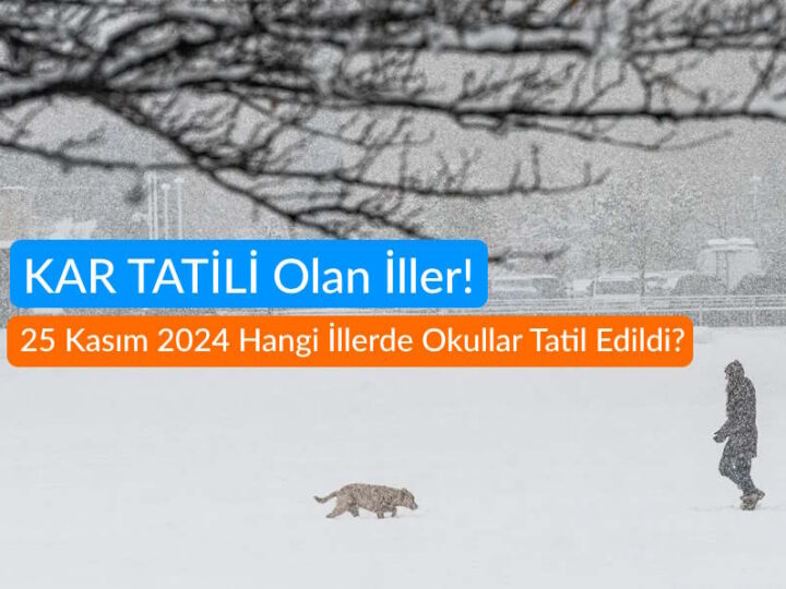 KAR TATİLİ Olan İller! 25 Kasım 2024 Hangi İllerde Okullar Tatil Edildi?