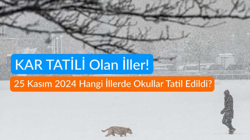 KAR TATİLİ Olan İller! 25 Kasım 2024 Hangi İllerde Okullar Tatil Edildi?