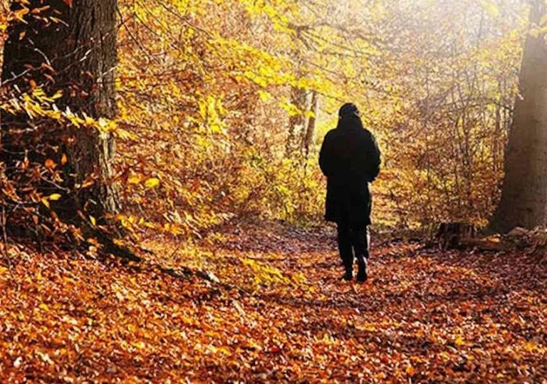 Sonbahar Mevsimi İnsanları Nasıl Etkiler? Doğanın Dönüşümüne Dair Duygusal Bir Yolculuk