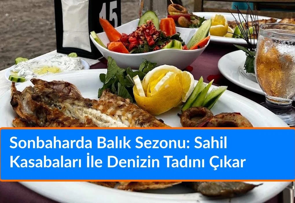 Çeyrek Altın Ne Kadar 16 Eylül 2026? 1 Gram Altın Kaç TL? Güncel Altın Fiyatları Sonbaharda Balık Sezonu: Sahil Kasabaları İle Denizin Tadını Çıkar