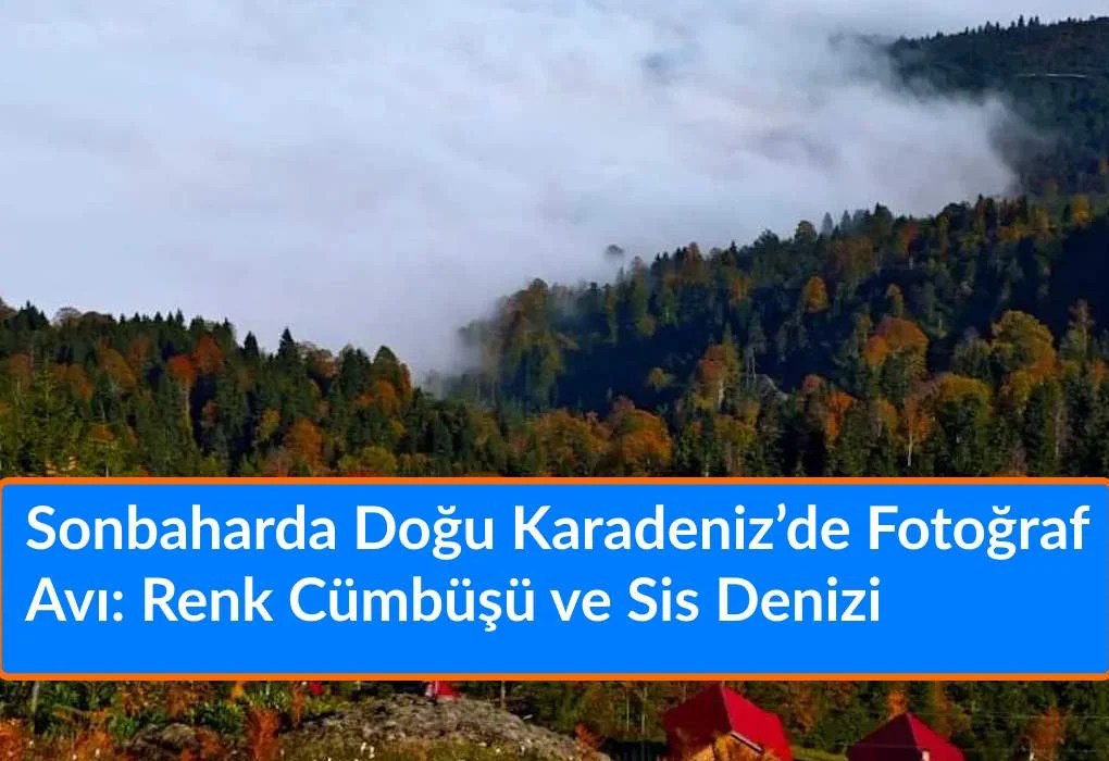 Sonbaharda Doğu Karadeniz’de Fotoğraf Avı: Renk Cümbüşü ve Sis Denizi