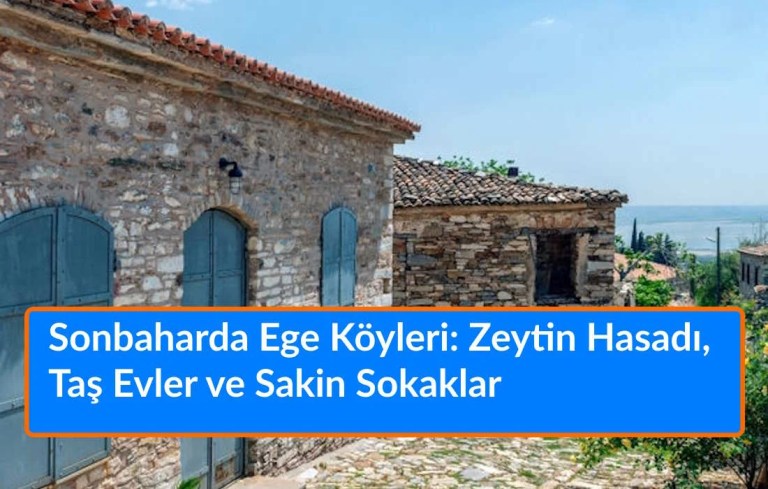 Sonbaharda Ege Köyleri: Zeytin Hasadı, Taş Evler ve Sakin Sokaklar